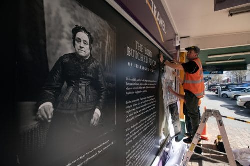 Picture by Tim Cuff - 26 September 2019 - Make/Shift Spaces properties, Nelson, New Zealand