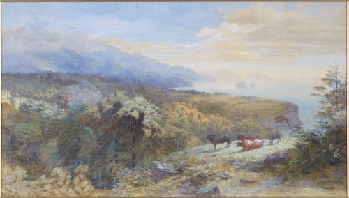 Gully_Western Coast of Tasman Bay