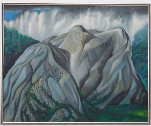 Bensemann_After Rain, Takaka