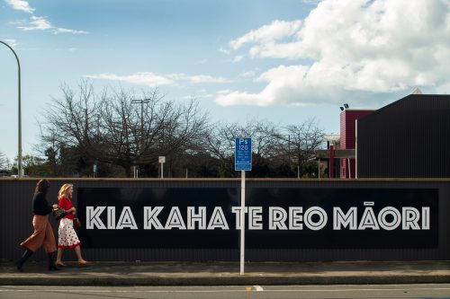 Picture by Tim Cuff 14 September 2021 - MakeShift Spaces installation: artist Ann Braunsteiner at 149  Hardy Street, Nelson, New Zealand