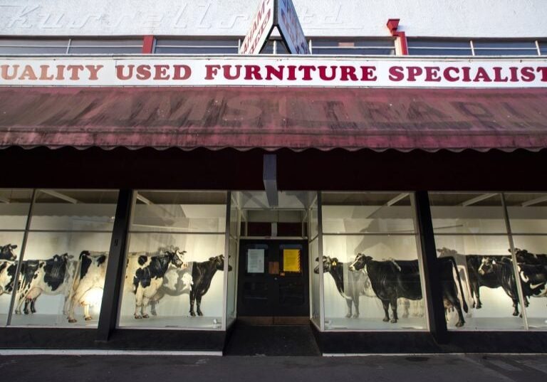 Picture by Tim Cuff - 19 January 2020 - MakeShiftSpaces, Trafalgar Street, and Bridge Street's former Graham's Trading building, Nelson, New Zealand